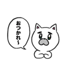 猫先生（個別スタンプ：17）