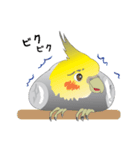 おちゃめインコ（個別スタンプ：34）