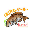 沖縄県産魚スタンプ♪（個別スタンプ：26）