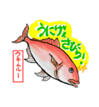 沖縄県産魚スタンプ♪（個別スタンプ：29）