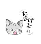 会津弁ねこ（個別スタンプ：23）