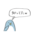 www（ペンギン時々あざらし）（個別スタンプ：1）