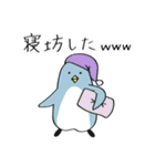 www（ペンギン時々あざらし）（個別スタンプ：10）