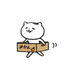 こねこさん。（個別スタンプ：3）