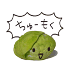 It's a キャベツ！（個別スタンプ：11）