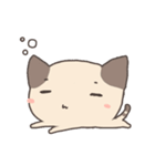 ゾーイシャム子猫（個別スタンプ：6）