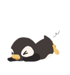 PenguinPenguin（個別スタンプ：18）