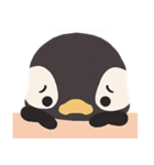 PenguinPenguin（個別スタンプ：22）