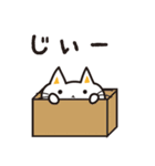 ゆるねこ しーにゃんこ（個別スタンプ：34）