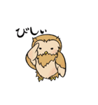 フクロウの師匠と弟子（個別スタンプ：2）
