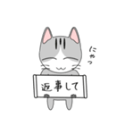 一言にゃんこ（個別スタンプ：3）