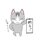 一言にゃんこ（個別スタンプ：6）