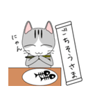 一言にゃんこ（個別スタンプ：17）