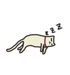 オレのネコ（個別スタンプ：3）