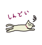 オレのネコ（個別スタンプ：4）