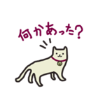 オレのネコ（個別スタンプ：25）