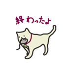 オレのネコ（個別スタンプ：36）