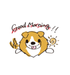 しぇるてぃ日記（個別スタンプ：1）