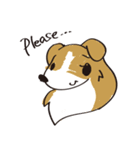 しぇるてぃ日記（個別スタンプ：9）