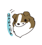 しぇるてぃ日記（個別スタンプ：13）
