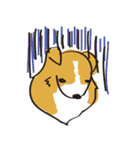 しぇるてぃ日記（個別スタンプ：15）