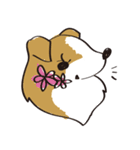 しぇるてぃ日記（個別スタンプ：23）