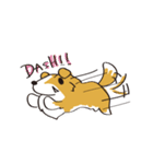 しぇるてぃ日記（個別スタンプ：31）