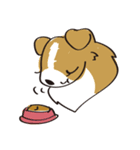 しぇるてぃ日記（個別スタンプ：34）