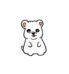 しろいぬしろ（個別スタンプ：40）