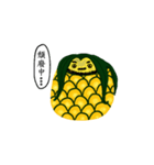 a pineapple（個別スタンプ：33）