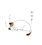 三毛猫のカチューシャ（個別スタンプ：40）