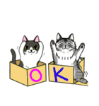 ねこねこ劇場まりんらんど（個別スタンプ：3）