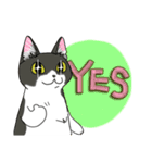 ねこねこ劇場まりんらんど（個別スタンプ：7）