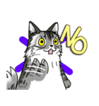 ねこねこ劇場まりんらんど（個別スタンプ：8）