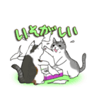 ねこねこ劇場まりんらんど（個別スタンプ：11）