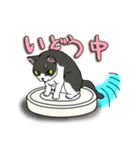 ねこねこ劇場まりんらんど（個別スタンプ：12）