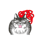 ねこねこ劇場まりんらんど（個別スタンプ：16）