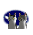 ねこねこ劇場まりんらんど（個別スタンプ：18）