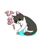 ねこねこ劇場まりんらんど（個別スタンプ：19）