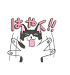 ねこねこ劇場まりんらんど（個別スタンプ：21）
