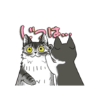 ねこねこ劇場まりんらんど（個別スタンプ：36）