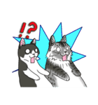 ねこねこ劇場まりんらんど（個別スタンプ：37）