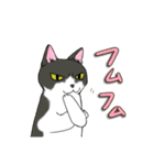 ねこねこ劇場まりんらんど（個別スタンプ：38）