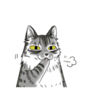 ねこねこ劇場まりんらんど（個別スタンプ：39）