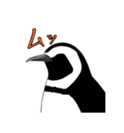 ペンギンさんのスタンプ（個別スタンプ：3）
