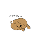 毎日のワンコすたんぷ。（個別スタンプ：9）
