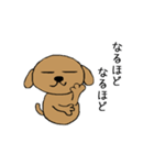 毎日のワンコすたんぷ。（個別スタンプ：15）