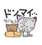 名前のない子猫（個別スタンプ：19）