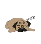 Fat Pug（個別スタンプ：6）