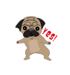 Fat Pug（個別スタンプ：17）